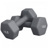 Soozier Lot de 2 halteres de 10lb, paire de poids pour entrainement de gym