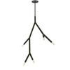 Luminaire suspendu Morgan de Dainolite avec fini noir mat et 5 ampoules