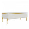 Lustra Table Basse Moderne Haute Brillance 39.4 po avec Double Tiroirs et Accents Dores, Blanc