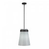 Suspension A 1 lampe Dahlia De 12 po, Noire