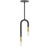 Luminaire suspendu Wand de Dainolite avec fini noir mat et laiton vieilli, et 2 ampoules