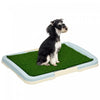 PawHut tapis de proprete en gazon synthetique pour chien
