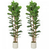 HOMCOM Ensemble de 2 faux figuiers lyre de 6pi pour decoration interieure