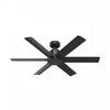 Ventilateur de plafond Kennicott - Noir