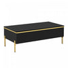 Lustra Table Basse Moderne Haute Brillance 39.4 po avec Double Tiroirs et Accents Dores, Noir