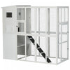 Pawhut Grande Maison Pour Chat D'exterieur Avec Porte, 4 Plates-formes, Rampe Et Toit En Asphalte, 77\" X 37\" X 69\", Blanc