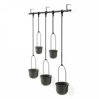 Jardinière suspendue Triflora de Umbra noire - ensemble de 5