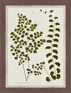Œuvre d’art en verre mat encadrée « Green Leaves » - 26 po x 34 po