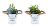 Plante grasse artificielle de 7 po en pot de 5 po en métal - ensemble de 2
