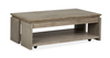 Table à café Addams de 50 po avec dessus relevable et rangement - gris Stone Harbor