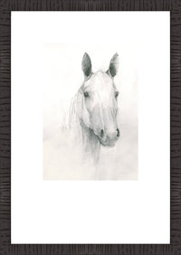 Œuvre d'art encadrée et surélevée sous verre « Ceaser I » avec passe-partout - 16 po x 23 po