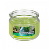 Pot parfumé de 3 oz en verre à arôme d’escapade tropicale avec couvercle - ensemble de 2 bougies