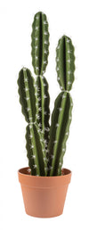 Cactus mexicain artificiel de 26 po en pot terracotta