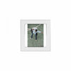 Cadre transparent 4 x 6 blanc - ensemble de 2 cadres