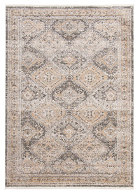 Carpette Leandra taupe/grise 8 pi 0 po x 10 pi 0 po