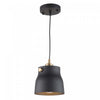 Luminaire suspendu Euro Industrial