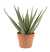 Aloe vera artificiel de 17 po en pot terracotta