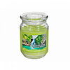 Pot parfumé de 18 oz à arôme d’escapade tropicale avec couvercle en verre - ensemble de 2 bougies