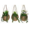 Plantes grasses artificielles dans un pot en corde à accrocher - ensemble de 3 fleurs artificielles