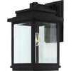 Applique murale II Freemont noire à 1 ampoule pour l'extérieur