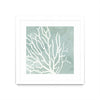 Œuvre d’art murale encadrée blanche et mate « Sea Crown I » 30 x 30