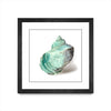 Œuvre d’art murale encadrée noire et mate « Shell In Mint » 30 x 30
