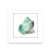 Œuvre d’art murale encadrée blanche et mate « Shell In Mint » 36 x 36