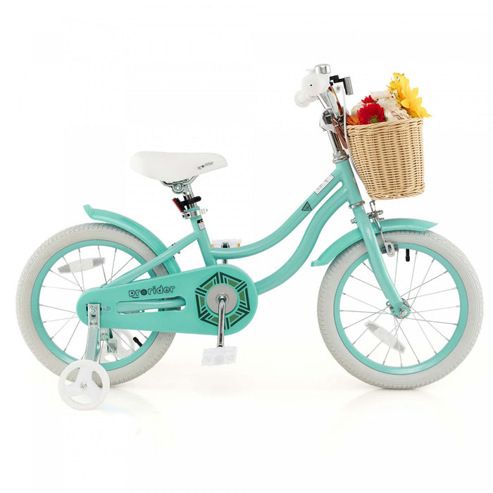 Prorider 16\" Velo Enfant Avec Roues D'entrainement Reglable Guidon Siege Frein A Main Vert