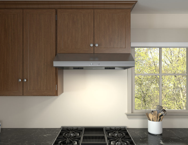 Hotte de cuisinière sous l’armoire Cyclone de Zephyr de 42 po - acier inoxydable - AK6542CS