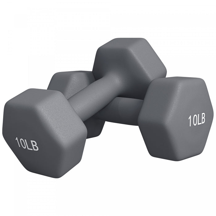 Soozier Lot de 2 halteres de 10lb, paire de poids pour entrainement de gym