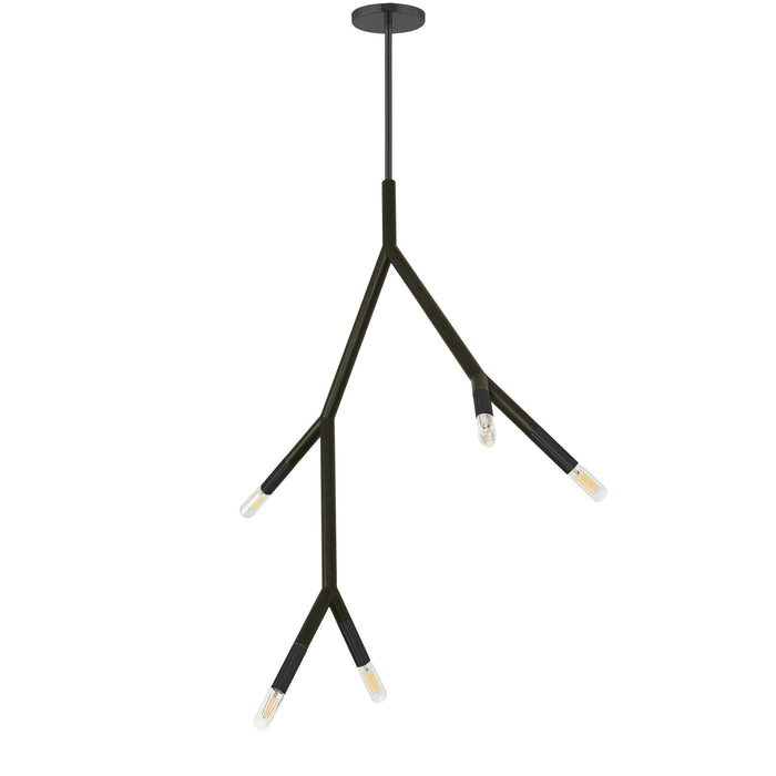Luminaire suspendu Morgan de Dainolite avec fini noir mat et 5 ampoules