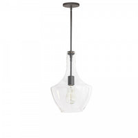 Petit luminaire suspendu Petalite de Dainolite en verre transparent, avec fini noir mat et 1 ampoule