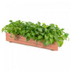 Bac A Fleurs Rectangulaire En Bois – 71cm