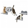 Pawhut Etageres Murales Pour Chats 4pcs, Ensemble D'etageres D'escalade Murales Pour Animaux De Compagnie, Centre D'activites Pour Chatons Avec Condo, Coussin, Griffoir, Plate-forme De Saut, Gris