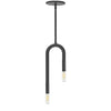 Luminaire suspendu Wand de Dainolite avec fini noir mat et 2 ampoules