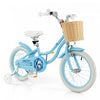 Prorider 16\" Velo Enfant Avec Roues D'entrainement Reglable Guidon Siege Frein A Main Bleu