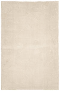 Tapis Lavable/Contemporain Elion 6'7