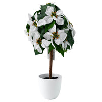 Arbre poinsettia de table blanc de 22 po