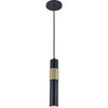 Luminaire suspendu Passwell de Dainolite avec fini noir mat et laiton vieilli et 1 ampoule