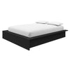 James Platform Bed Queen Bed | Lit Plateforme James