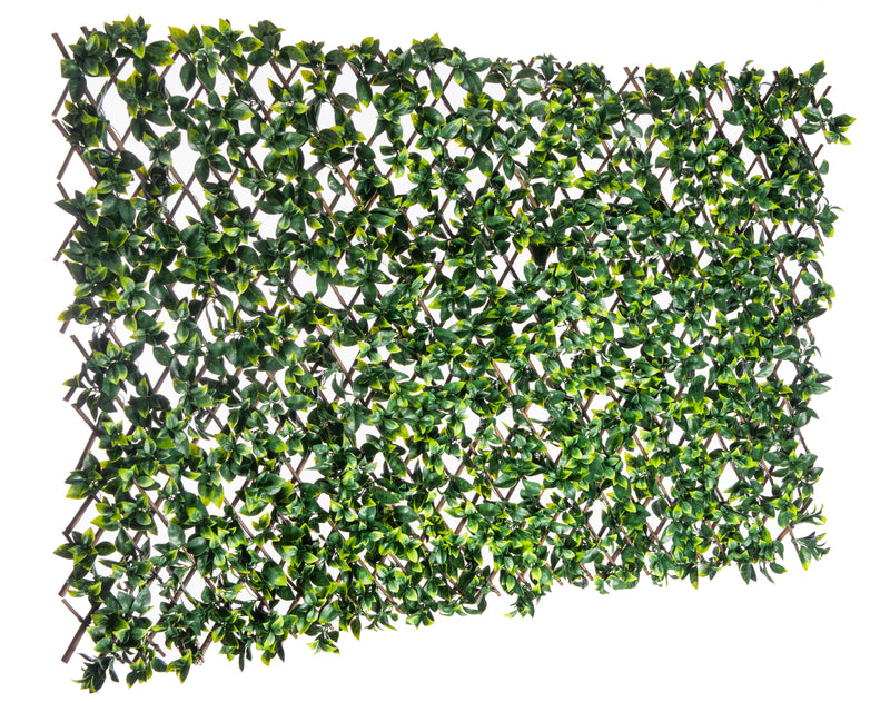Treillis de saule extensible avec feuilles de gardénia - 40 po x 80 po