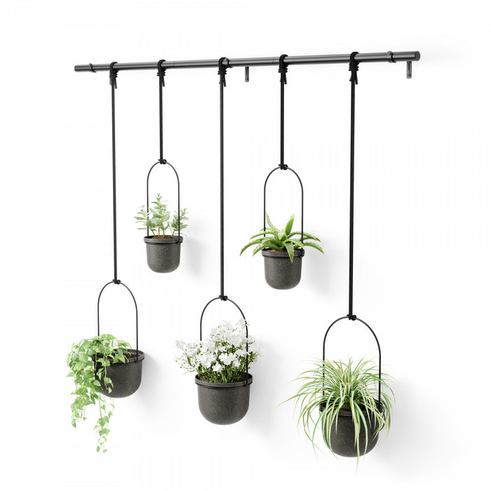 Jardinière suspendue Triflora de Umbra noire - ensemble de 5