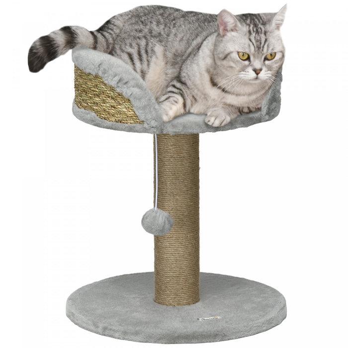 Petit Arbre A Chat Avec Griffoir, Perchoir, Jouet Balle