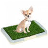 Tapis de Gazon avec Plateau pour l'Apprentissage de la Proprete des Chiens