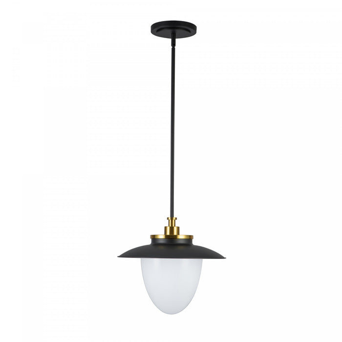 Suspension A 1 lampe Dahlia De 15 po, Noire