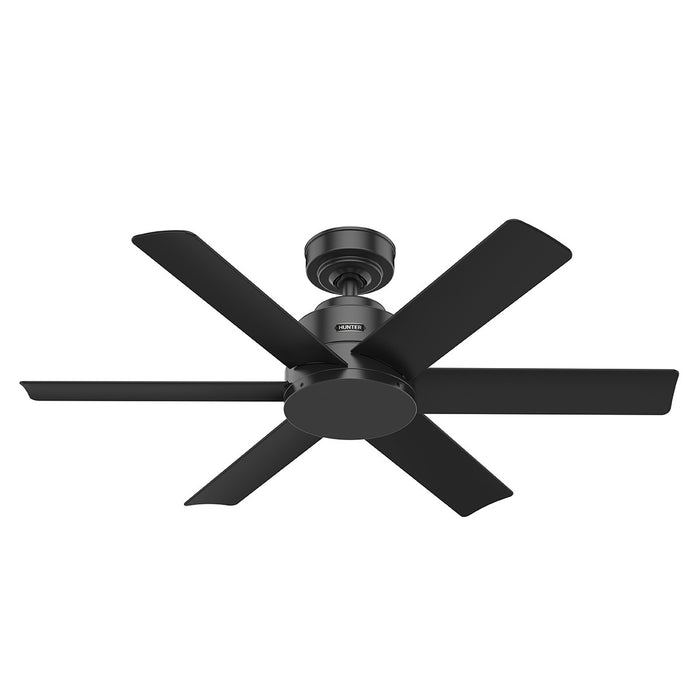 Ventilateur de plafond Kennicott - Noir