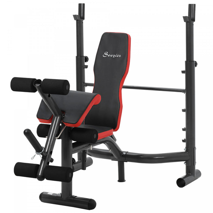 Banc De Musculation Soozier, Banc Reglable D'entrainement Multifonctionnel Robuste Avec Boucle De Predicateur, Developpeur De Jambes