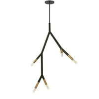 Luminaire suspendu Morgan de Dainolite avec fini noir mat et laiton vieilli et 5 ampoules
