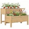 Outsunny Carre de Jardin sureleve en Bois, Bac de Plantation a 2 Niveaux avec Etagere