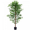 HOMCOM Ficus Artificiel 6pi, Plante Decorative Fausse pour Decoration